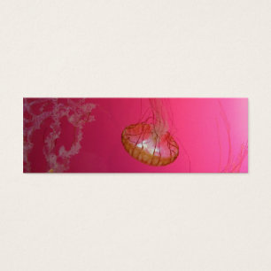 Quallen-Rosa