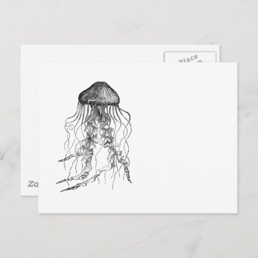 Quallen Schwarz-Weiß-Bleistift Zeichnend Skizze Postkarte (Vorne/Hinten)