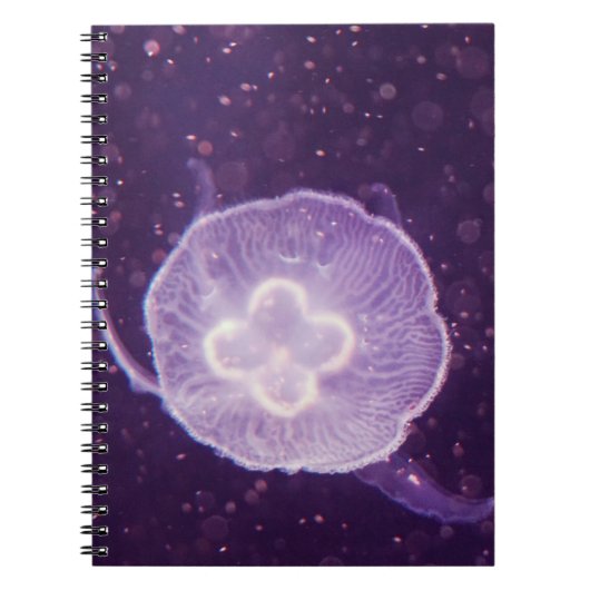 Quallen schwimmen notizblock (Vorderseite)