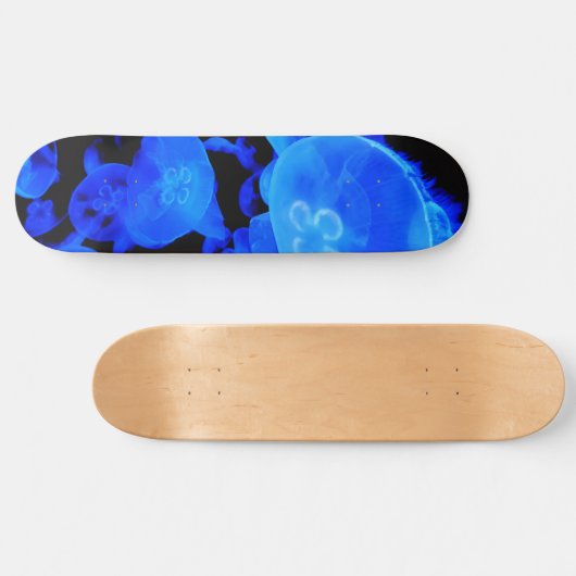 Quallen Skateboard (Horizontal)