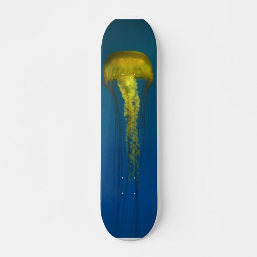Quallen Skateboard (Vorne)
