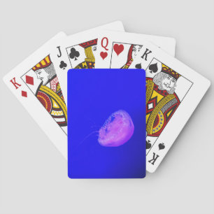 Quallen Spielkarten