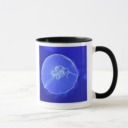 Quallen Tasse (Rechts)