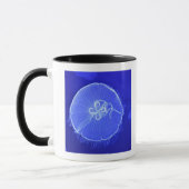 Quallen Tasse (Links)
