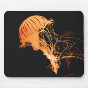 Quallen, Tiere, Natur Mousepad
