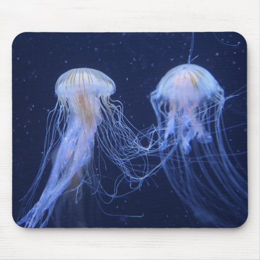 Quallen, Tiere, Unterwasser Mousepad (Vorne)