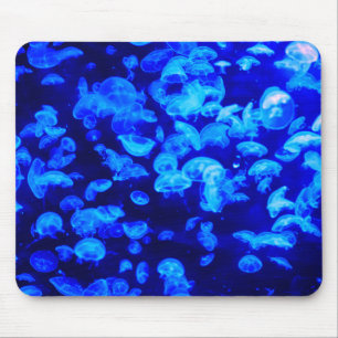 Quallen, Tiere, Unterwasser Mousepad