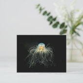 Quallen (Turritopsis nacula) Postkarte (Stehend Vorderseite)