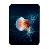 Quallen Unterwasser - Dunkles Licht Magnet (Vertikal)