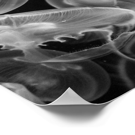 Quallen Unterwasser Poster (Ecke)