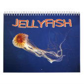 Quallen-Wandkalender Kalender (Titelbild)
