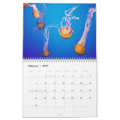 Quallen-Wandkalender Kalender (Feb 2027)