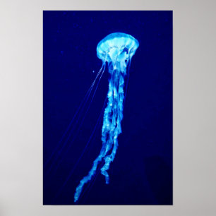 Quallen-Wandkunst Poster Druck