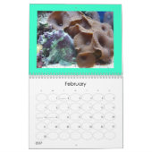 Quallenabdeckungskalender Kalender (Feb 2027)