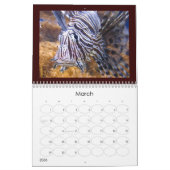 Quallenabdeckungskalender Kalender (Mär 2026)