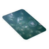 Quallenfisch Magnet (Rechte Seite)