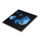 Quallenfisch Nr. 4 Fliese (Seite)