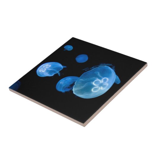 Quallenfisch Nr. 4 Fliese (Seite)