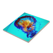 Quallenfisch / Pazifischer Seekessel / Fliese (Seite)