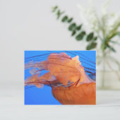 Quallenfisch Postkarte (Stehend Vorderseite)
