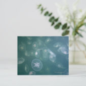 Quallenfisch Postkarte (Stehend Vorderseite)