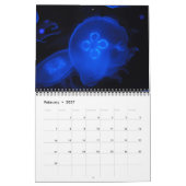 Quallenkalender 2017 kalender (Feb 2027)