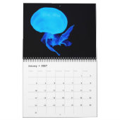 Quallenkalender 2017 kalender (Jan 2027)