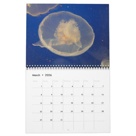 Quallenkalender 2017 kalender (Mär 2026)