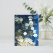 Quallenpostkarte Postkarte (Stehend Vorderseite)