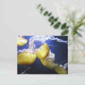 Quallenpostkarte Postkarte (Stehend Vorderseite)