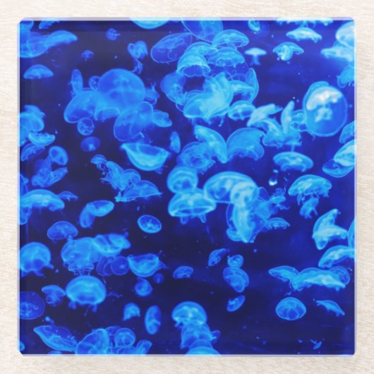 Quallenriegel Glasuntersetzer (Vorderseite)