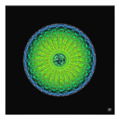 Quallenschirm Fotodruck (Vorne)