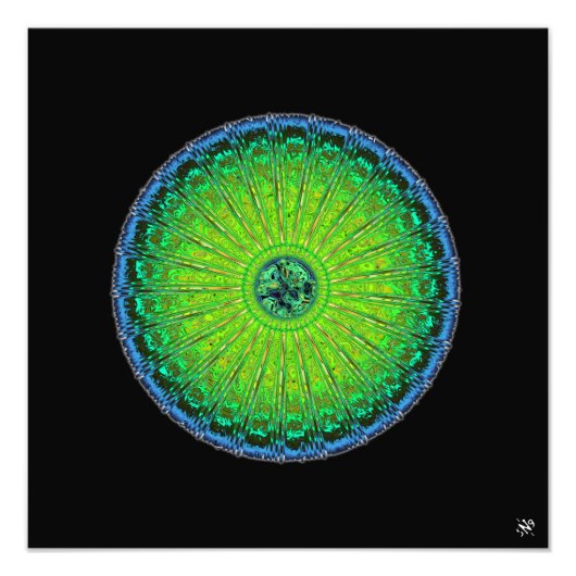 Quallenschirm Fotodruck (Vorne)