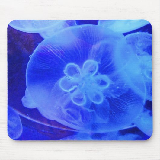 Quallentier Mousepad (Vorne)