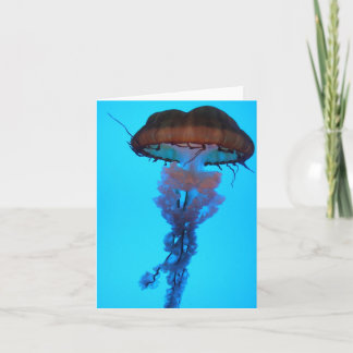 Quallyfish Notecard Karte