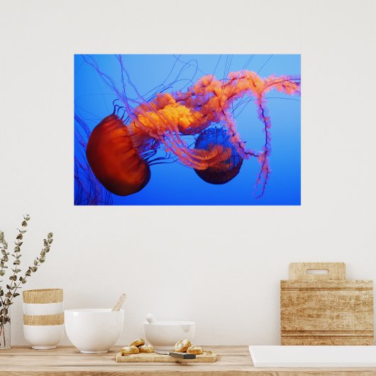 Quallyfish Poster (Küche)