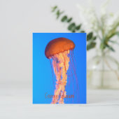 Quallyfish Postkarte (Stehend Vorderseite)