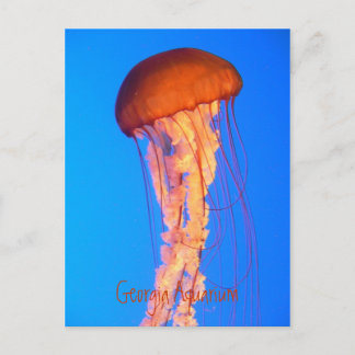 Quallyfish Postkarte