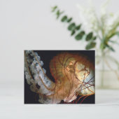 Quallyfish Postkarte (Stehend Vorderseite)