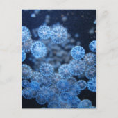 Quallyfish Postkarte (Vorderseite)