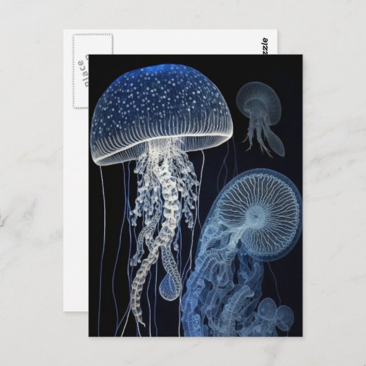 Quallyfish Postkarte (Vorne/Hinten)