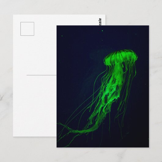 Quallyfish Postkarte (Vorne/Hinten)