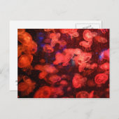 Quallyfish Postkarte (Vorne/Hinten)