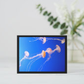 Quallyfish Postkarte (Stehend Vorderseite)