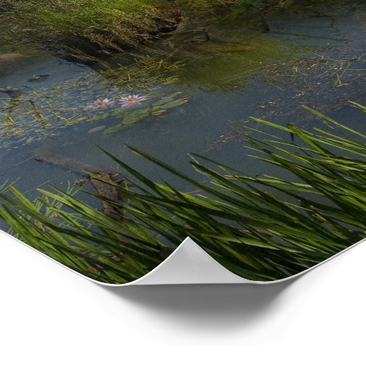 Quantarasitto - Poster (Ecke)