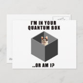 Quantenkatze Postkarte (Vorne/Hinten)