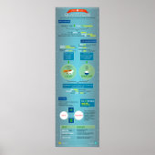 Quantifizierer: Tipps und Hinweise Poster (Vorne)