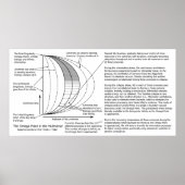 Quantum Mechanics Multiverse Omega Point Diagram Poster (Vorne)