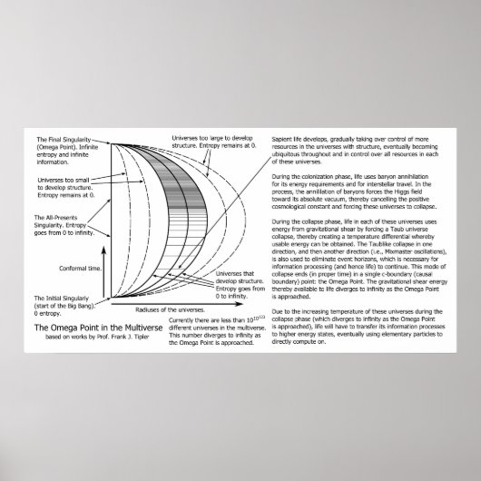 Quantum Mechanics Multiverse Omega Point Diagram Poster (Vorne)