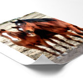 Quarter Horse Art Poster (Ecke)